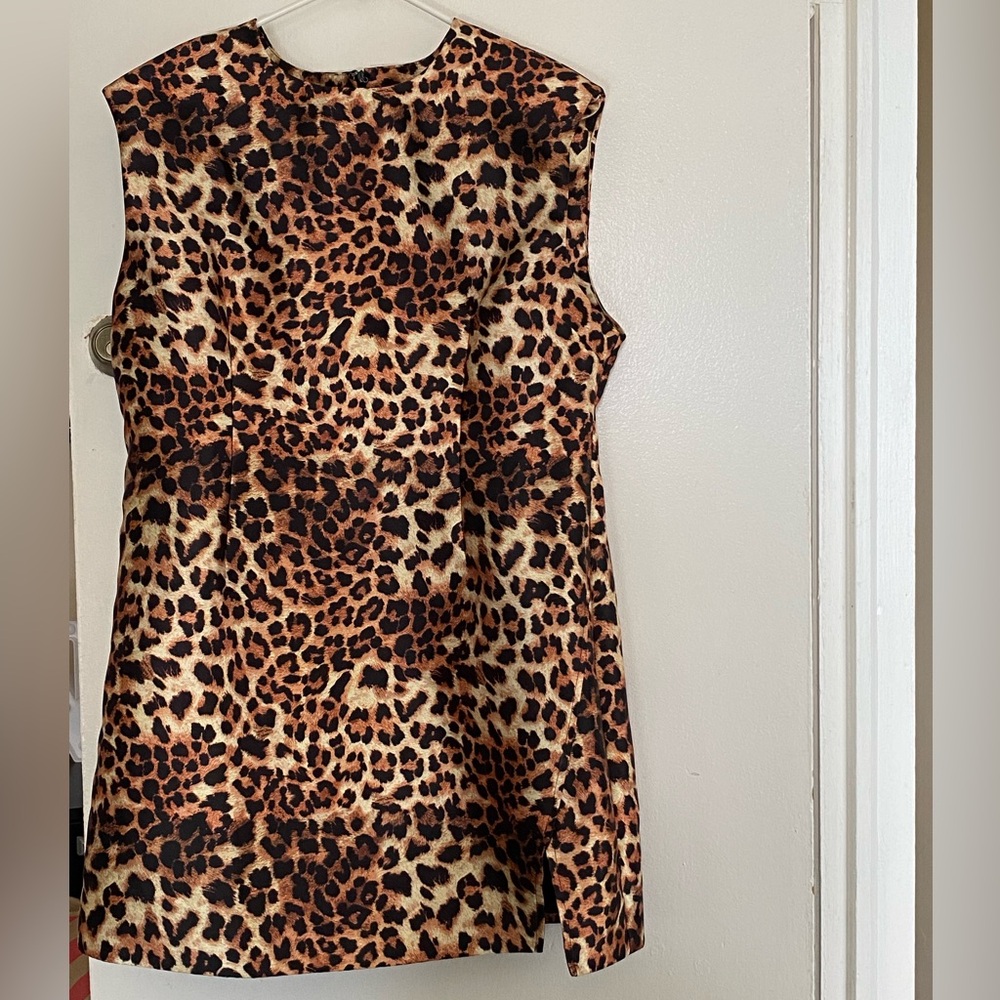 Nasty Gal Brown Leopard Print Sleeveless Dress